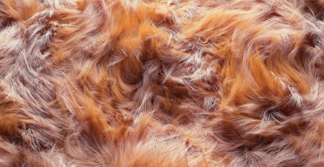 Houdini RND相关-Motion Designers Community频道